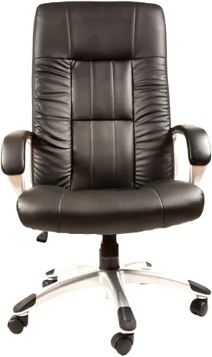 代表沿革・経歴